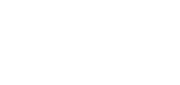 ion4 logo weiss wb